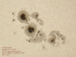 Sunspots from 07.2004